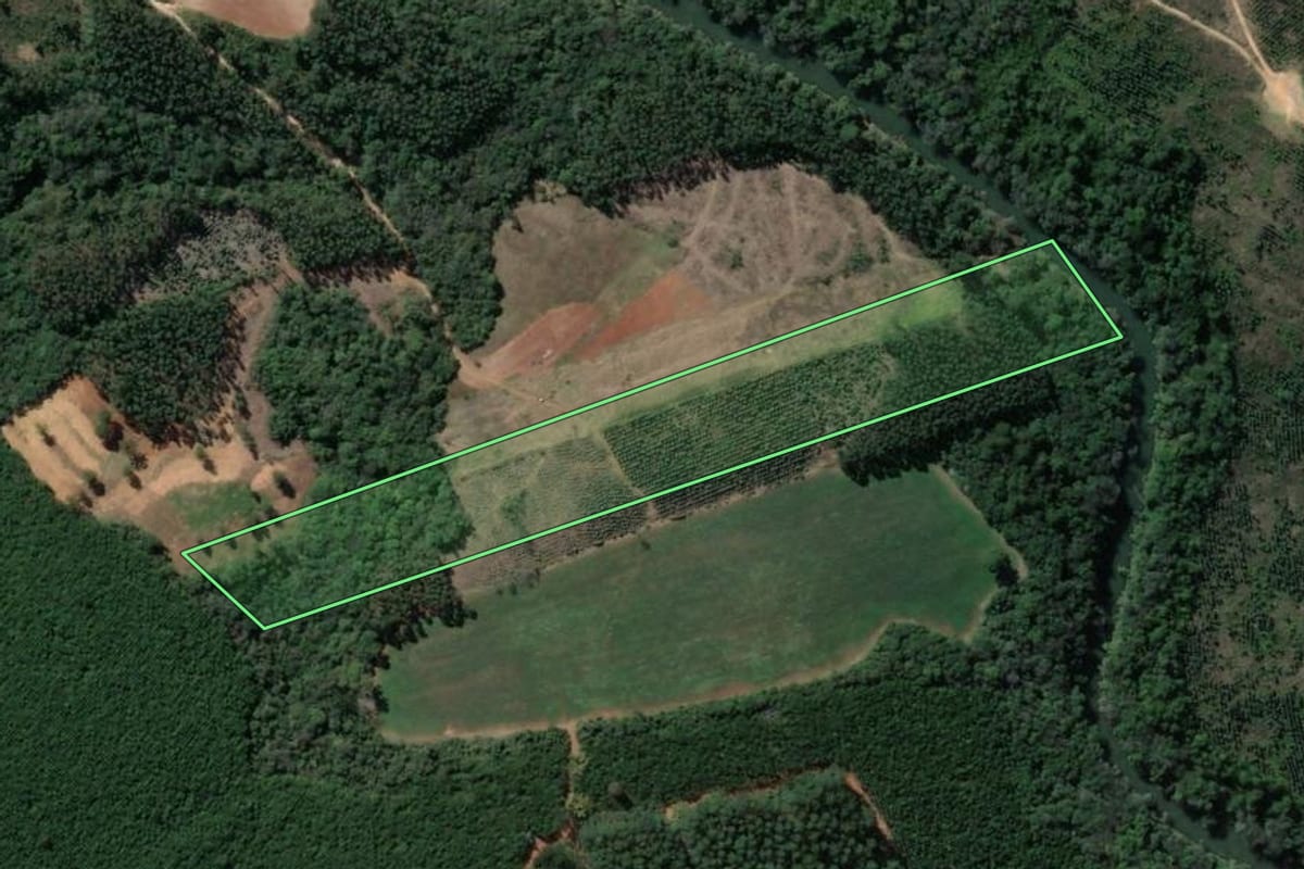 Imagem de satélite do imóvel rural em Imbaú (PR), com o contorno declarado no CAR desenhado por cima.