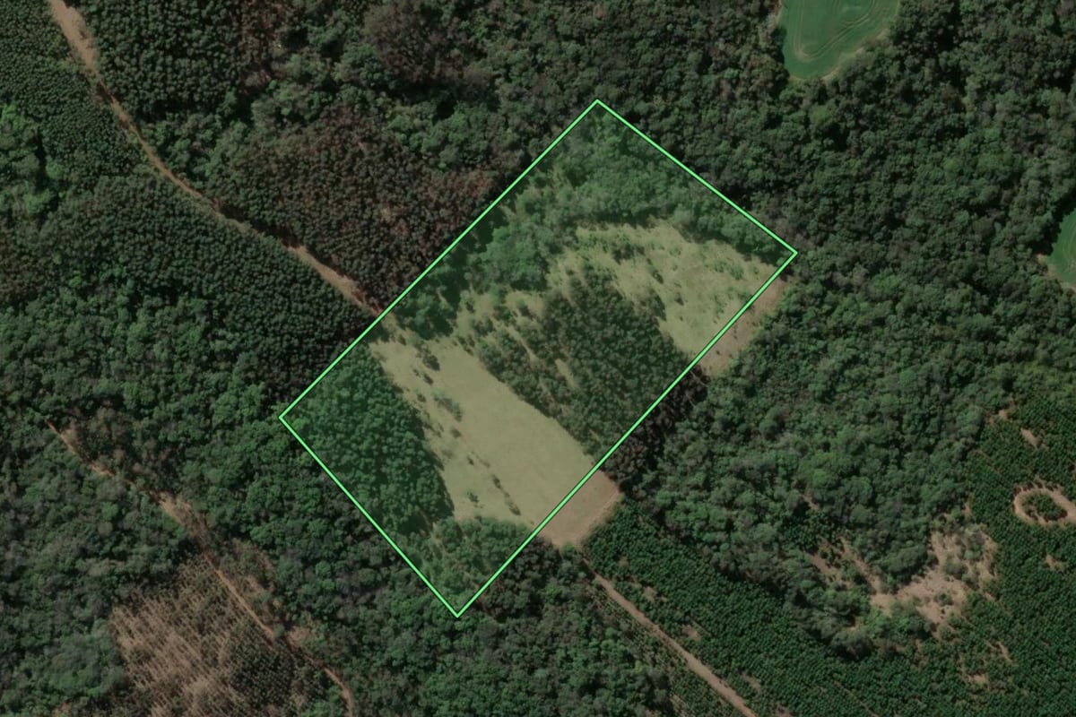 Imagem de satélite do imóvel rural em Imbaú (PR), com o contorno declarado no CAR desenhado por cima.