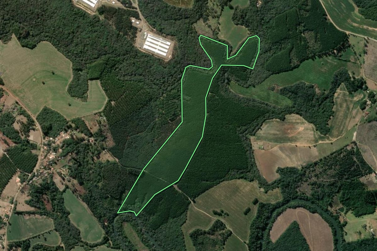 Imagem de satélite do imóvel rural em Imbaú (PR), com o contorno declarado no CAR desenhado por cima.