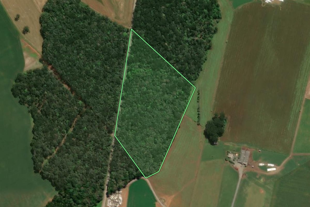 Imagem de satélite do imóvel rural em Imbituva (PR), com o contorno declarado no CAR desenhado por cima.