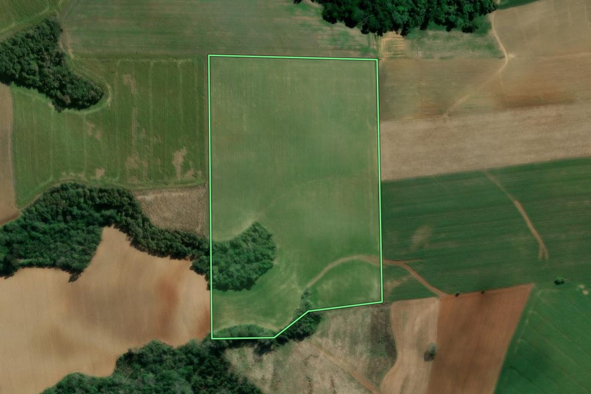 Imagem de satélite do imóvel rural em Imbituva (PR), com o contorno declarado no CAR desenhado por cima.