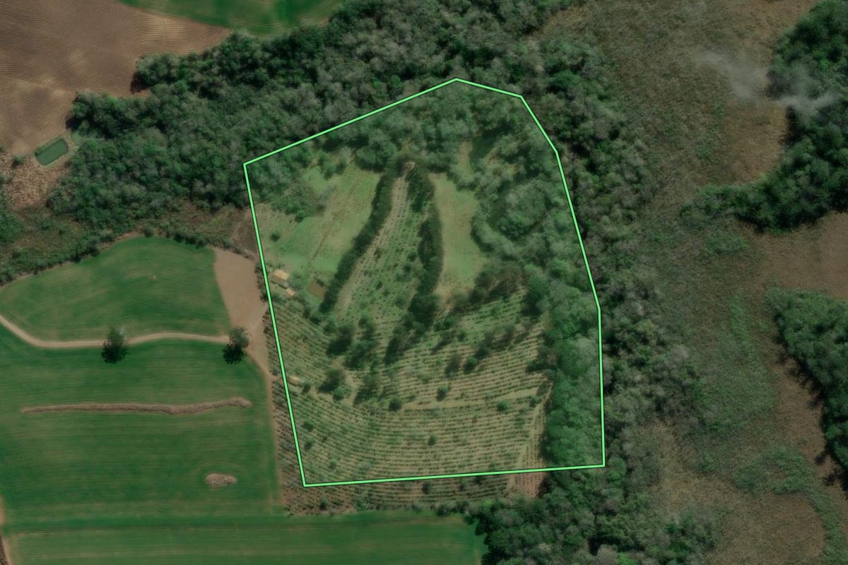 Imagem de satélite do imóvel rural em Imbituva (PR), com o contorno declarado no CAR desenhado por cima.