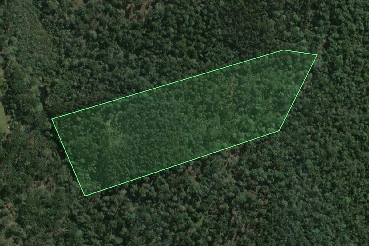 Imagem de satélite do imóvel rural em Imbituva (PR), com o contorno declarado no CAR desenhado por cima.
