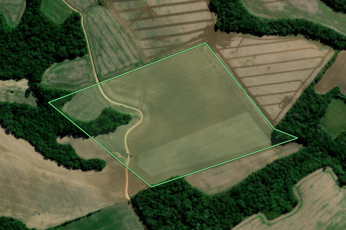Imagem de satélite do imóvel rural em Imbituva (PR), com o contorno declarado no CAR desenhado por cima.