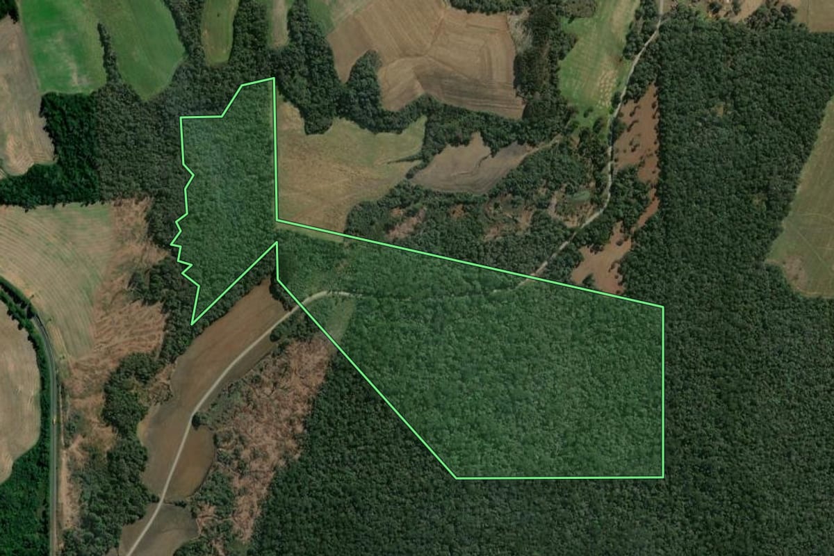 Imagem de satélite do imóvel rural em Imbituva (PR), com o contorno declarado no CAR desenhado por cima.