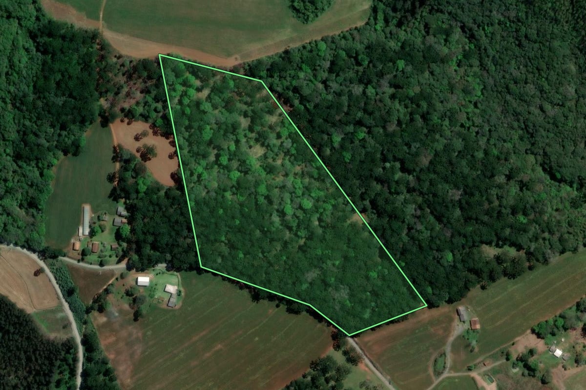 Imagem de satélite do imóvel rural em Imbituva (PR), com o contorno declarado no CAR desenhado por cima.