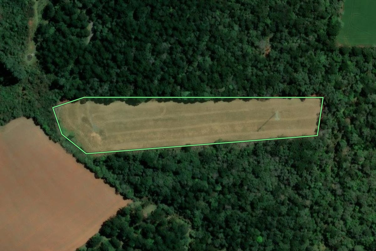 Imagem de satélite do imóvel rural em Imbituva (PR), com o contorno declarado no CAR desenhado por cima.