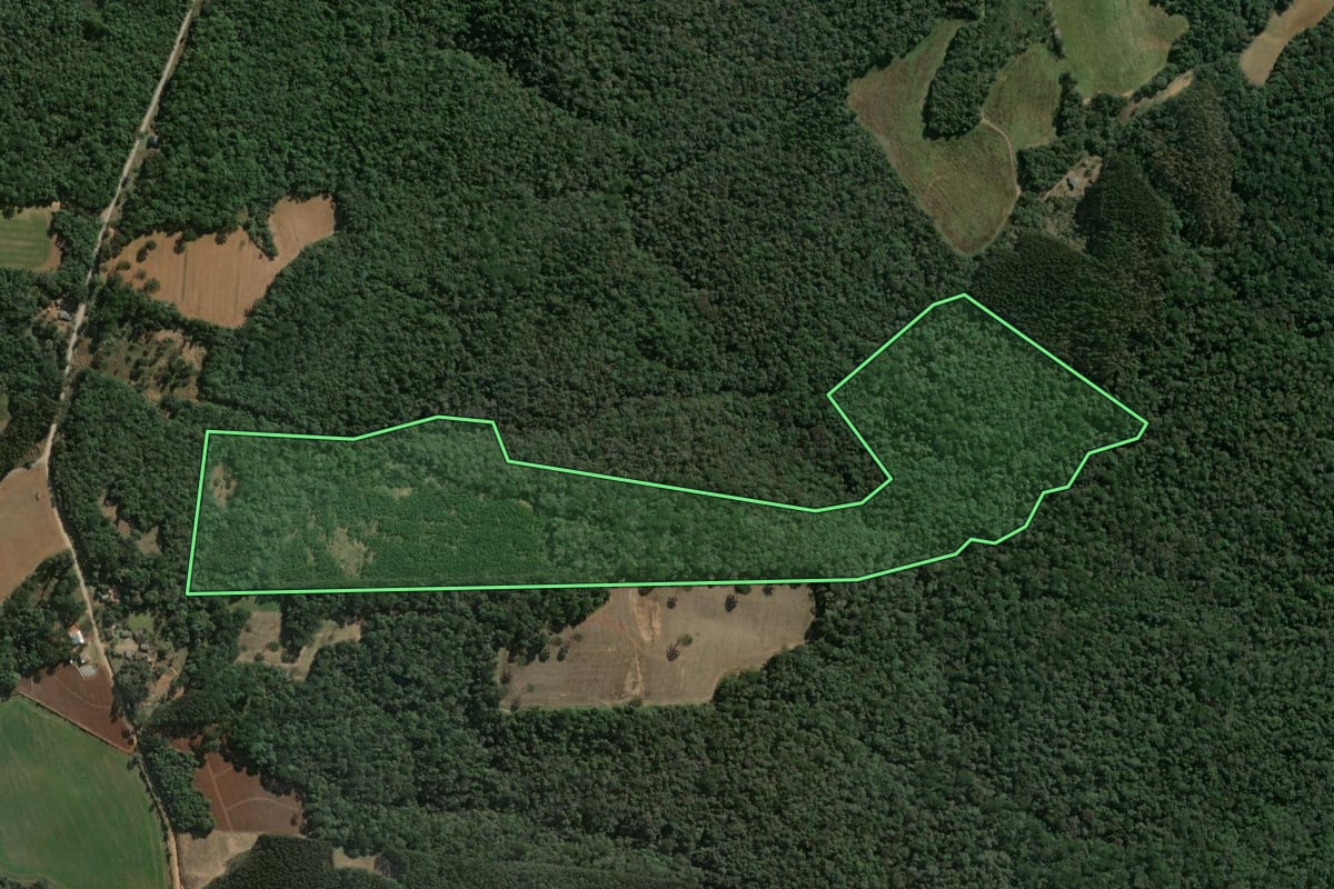 Imagem de satélite do imóvel rural em Imbituva (PR), com o contorno declarado no CAR desenhado por cima.