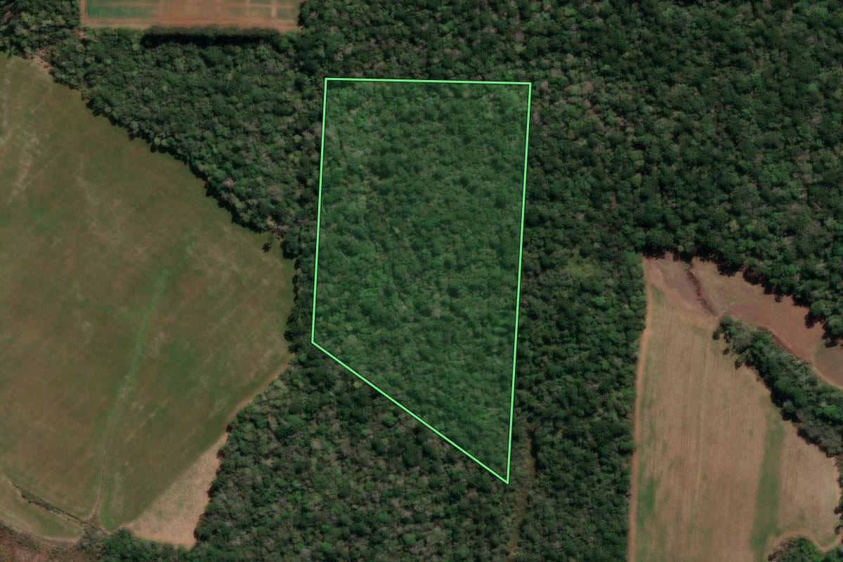 Imagem de satélite do imóvel rural em Imbituva (PR), com o contorno declarado no CAR desenhado por cima.