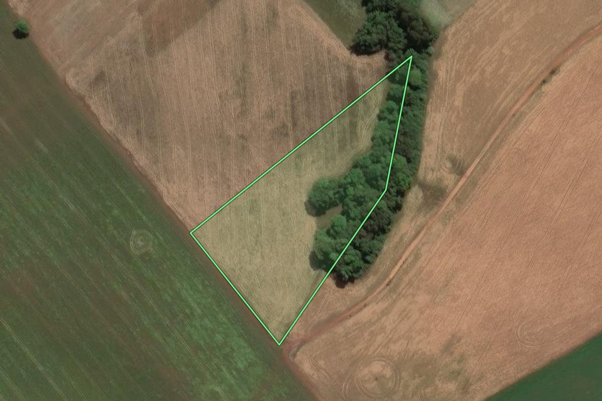 Imagem de satélite do imóvel rural em Imbituva (PR), com o contorno declarado no CAR desenhado por cima.
