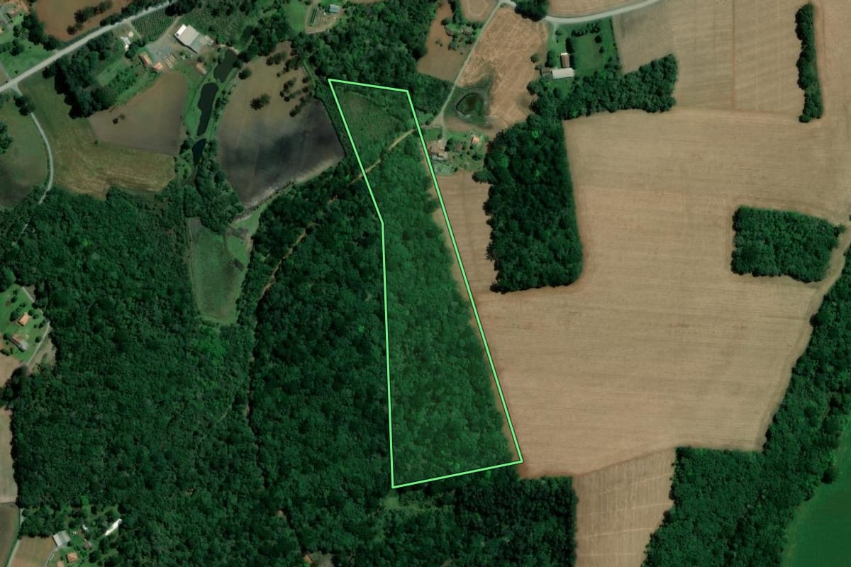 Imagem de satélite do imóvel rural em Imbituva (PR), com o contorno declarado no CAR desenhado por cima.