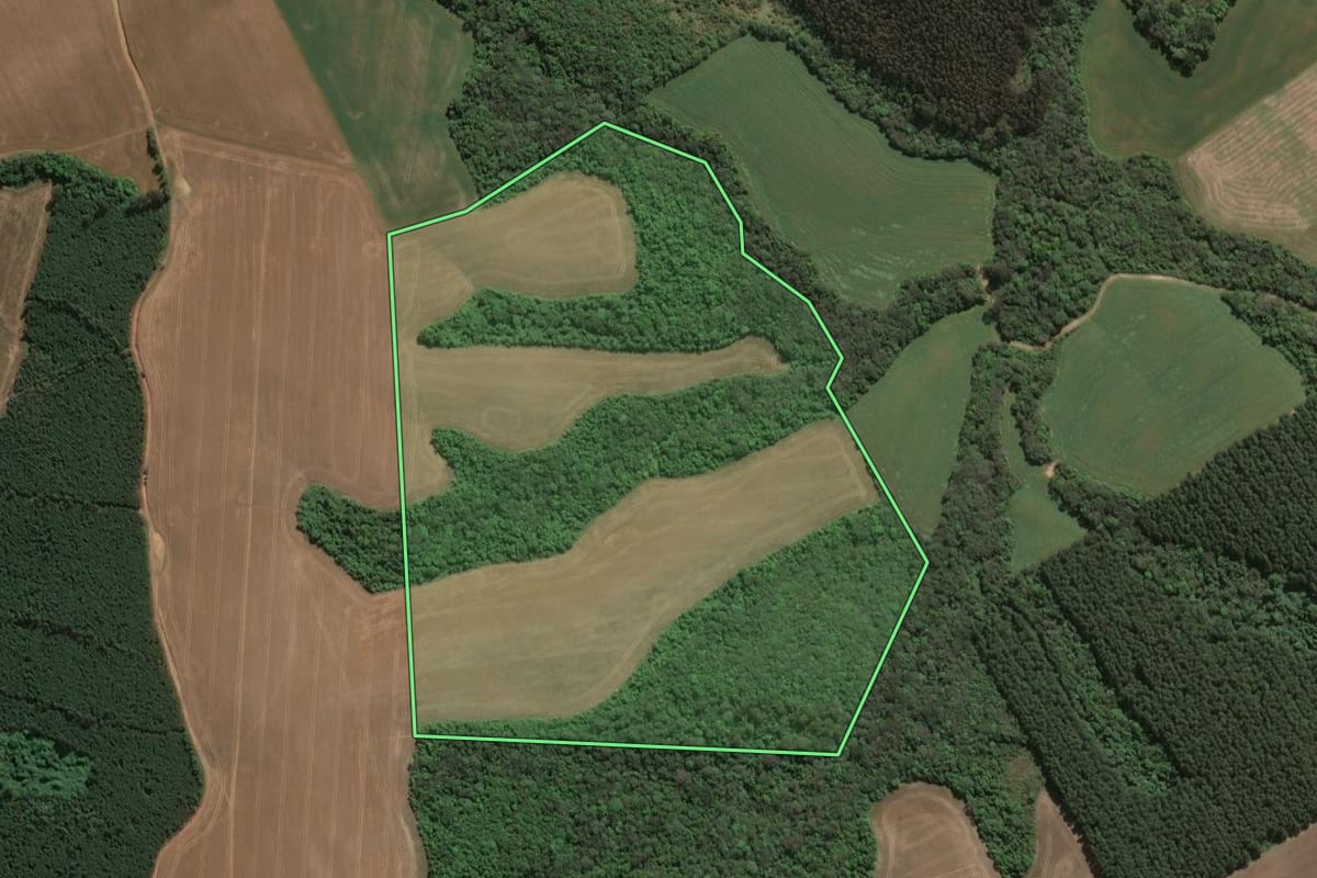 Imagem de satélite do imóvel rural em Imbituva (PR), com o contorno declarado no CAR desenhado por cima.