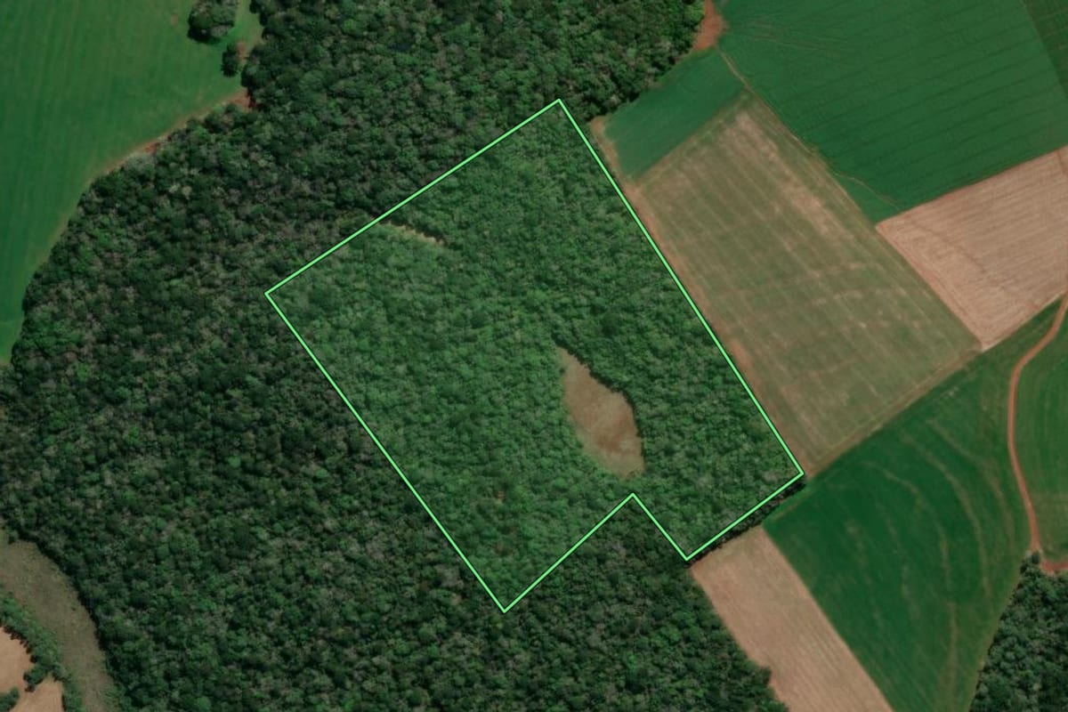 Imagem de satélite do imóvel rural em Imbituva (PR), com o contorno declarado no CAR desenhado por cima.
