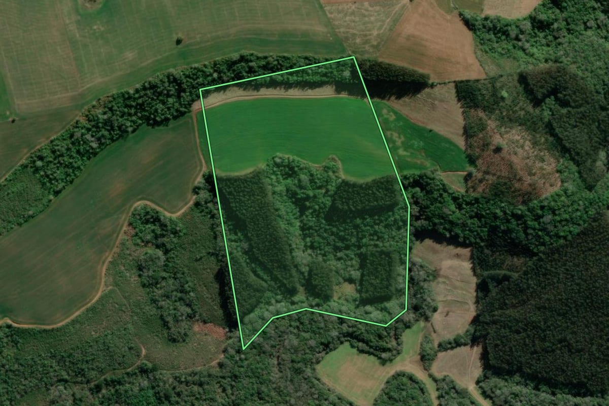 Imagem de satélite do imóvel rural em Imbituva (PR), com o contorno declarado no CAR desenhado por cima.