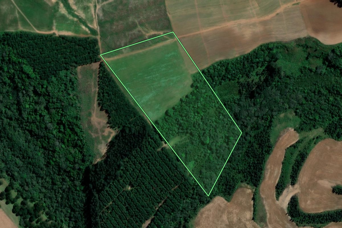 Imagem de satélite do imóvel rural em Imbituva (PR), com o contorno declarado no CAR desenhado por cima.