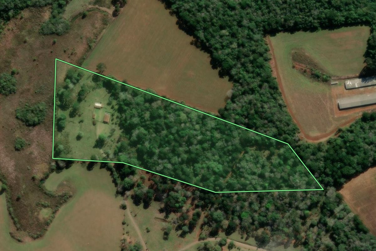 Imagem de satélite do imóvel rural em Imbituva (PR), com o contorno declarado no CAR desenhado por cima.