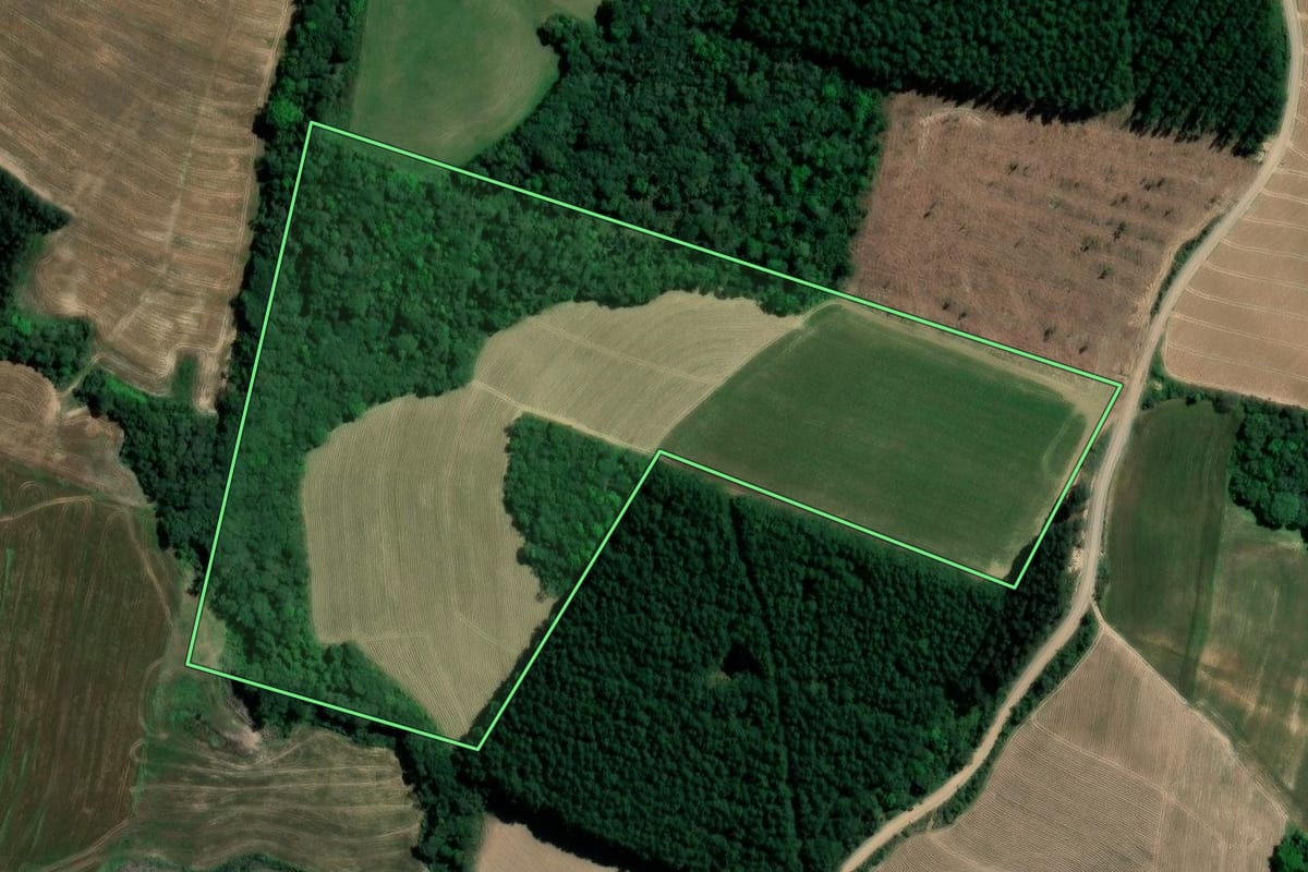 Imagem de satélite do imóvel rural em Imbituva (PR), com o contorno declarado no CAR desenhado por cima.