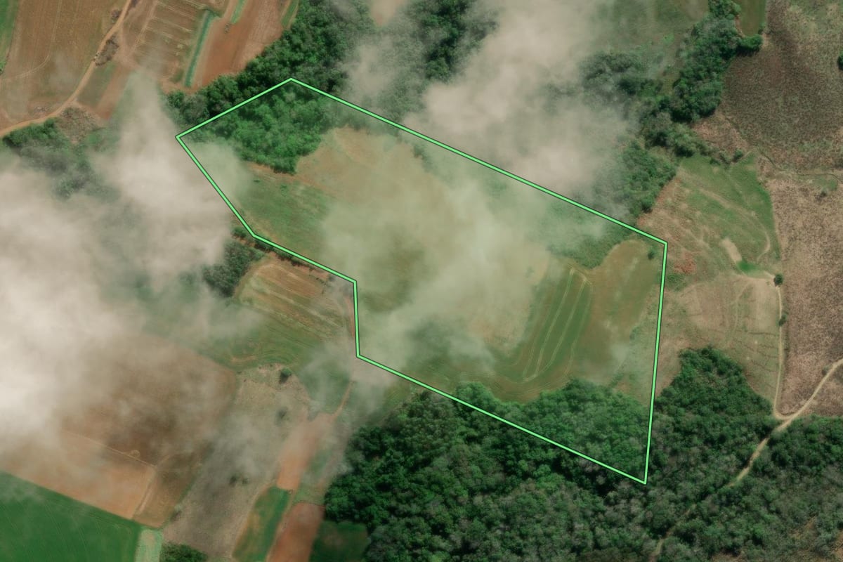 Imagem de satélite do imóvel rural em Imbituva (PR), com o contorno declarado no CAR desenhado por cima.