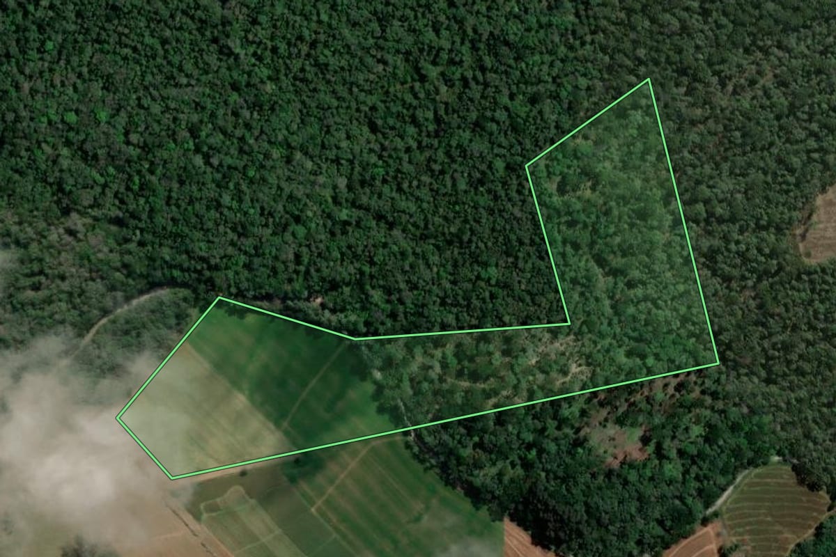 Imagem de satélite do imóvel rural em Imbituva (PR), com o contorno declarado no CAR desenhado por cima.