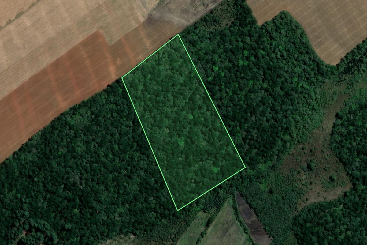 Imagem de satélite do imóvel rural em Imbituva (PR), com o contorno declarado no CAR desenhado por cima.