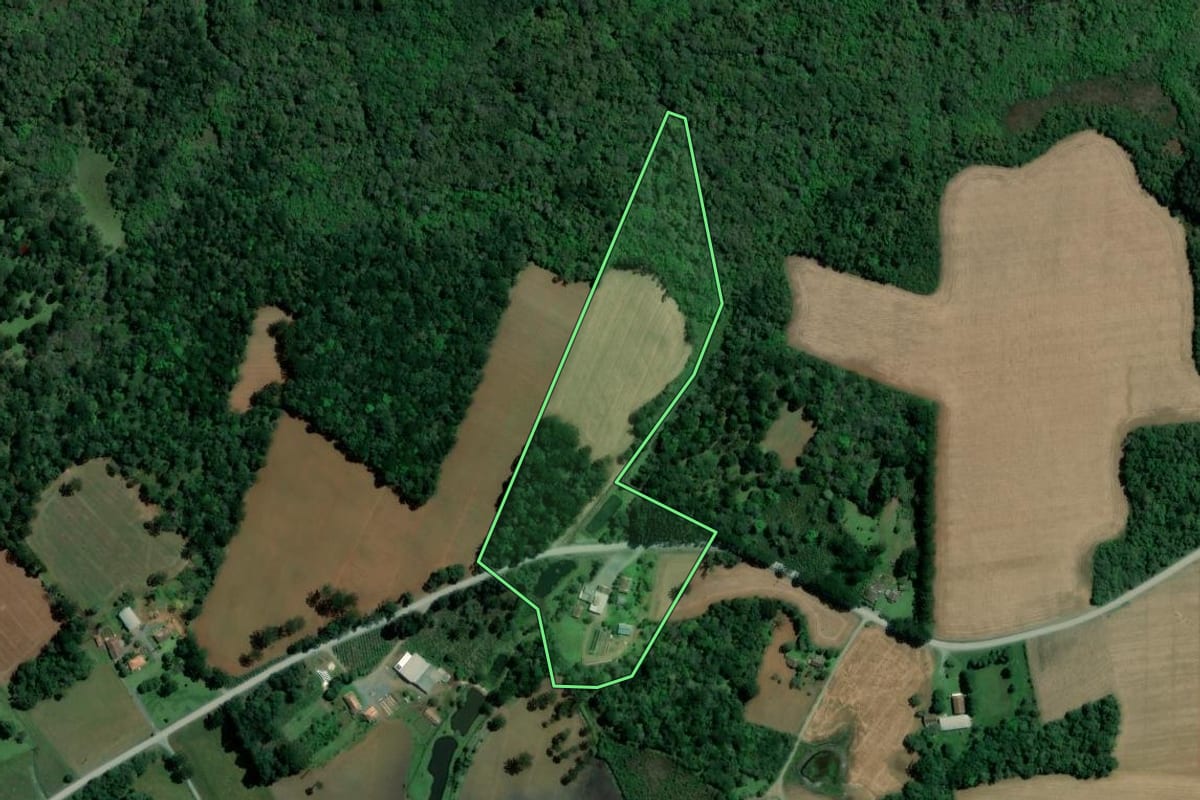 Imagem de satélite do imóvel rural em Imbituva (PR), com o contorno declarado no CAR desenhado por cima.