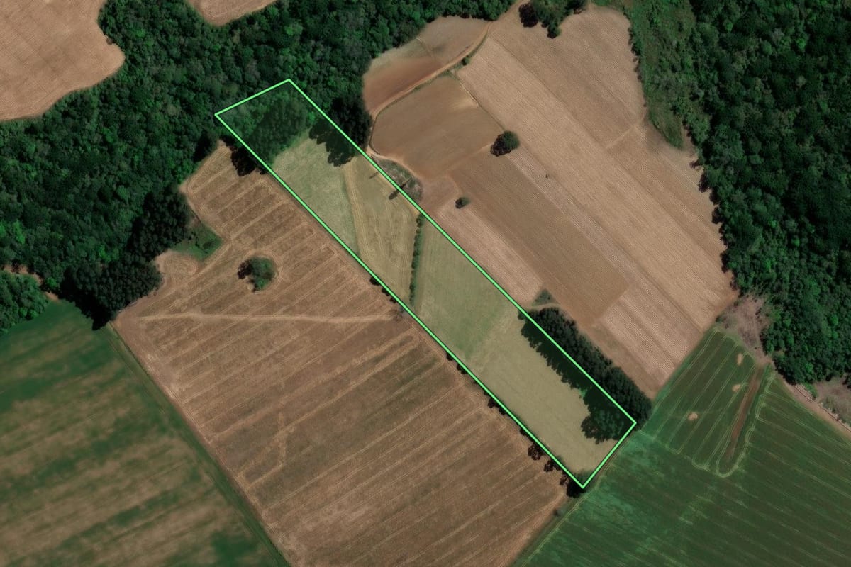 Imagem de satélite do imóvel rural em Imbituva (PR), com o contorno declarado no CAR desenhado por cima.