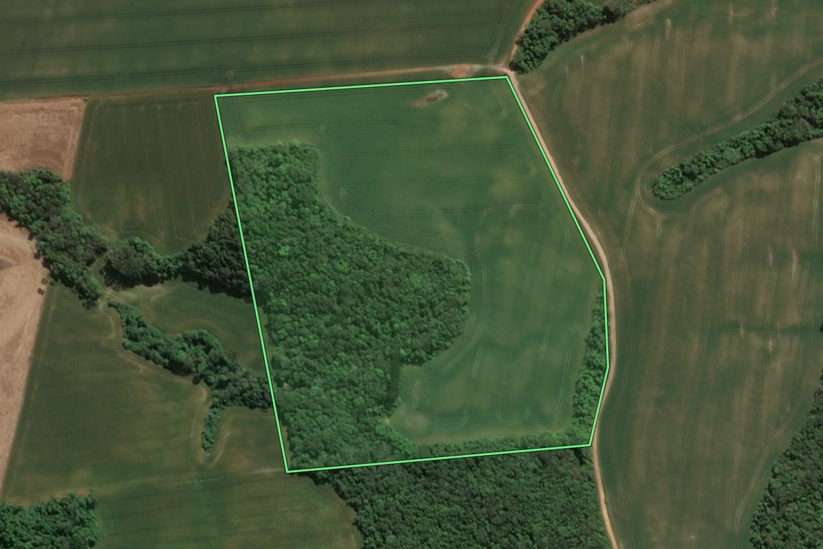 Imagem de satélite do imóvel rural em Imbituva (PR), com o contorno declarado no CAR desenhado por cima.