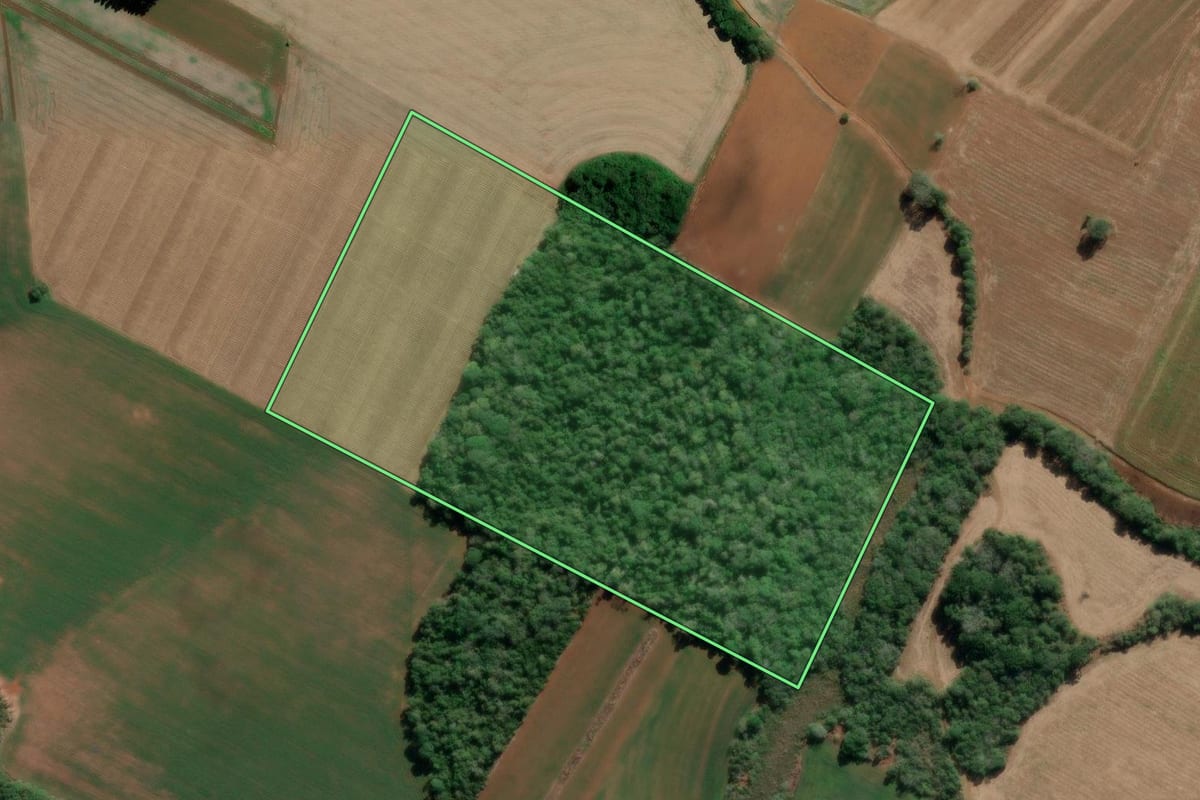 Imagem de satélite do imóvel rural em Imbituva (PR), com o contorno declarado no CAR desenhado por cima.