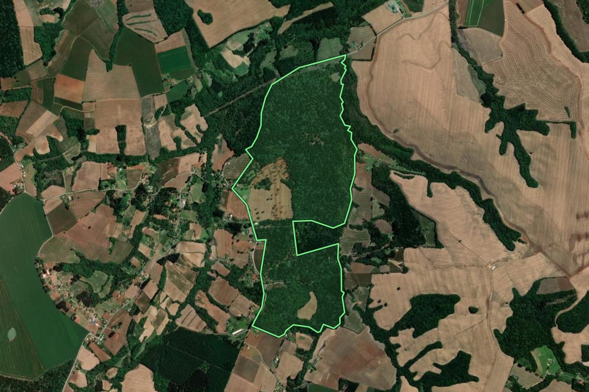 Imagem de satélite do imóvel rural em Imbituva (PR), com o contorno declarado no CAR desenhado por cima.