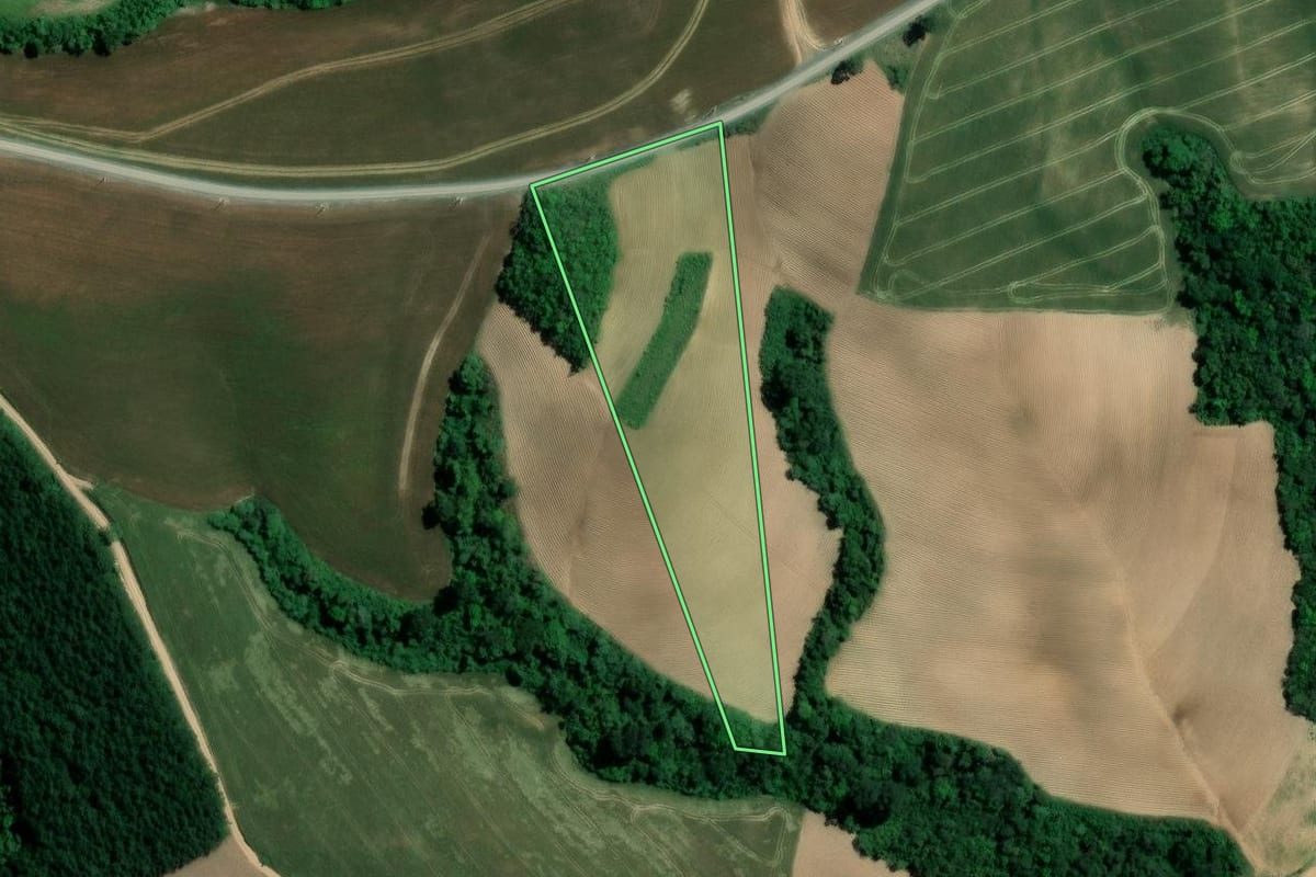 Imagem de satélite do imóvel rural em Imbituva (PR), com o contorno declarado no CAR desenhado por cima.