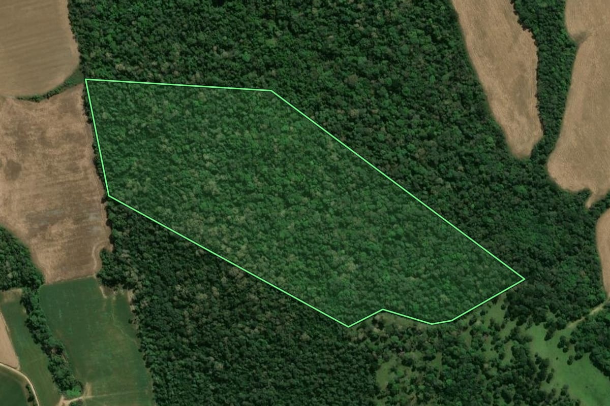 Imagem de satélite do imóvel rural em Imbituva (PR), com o contorno declarado no CAR desenhado por cima.