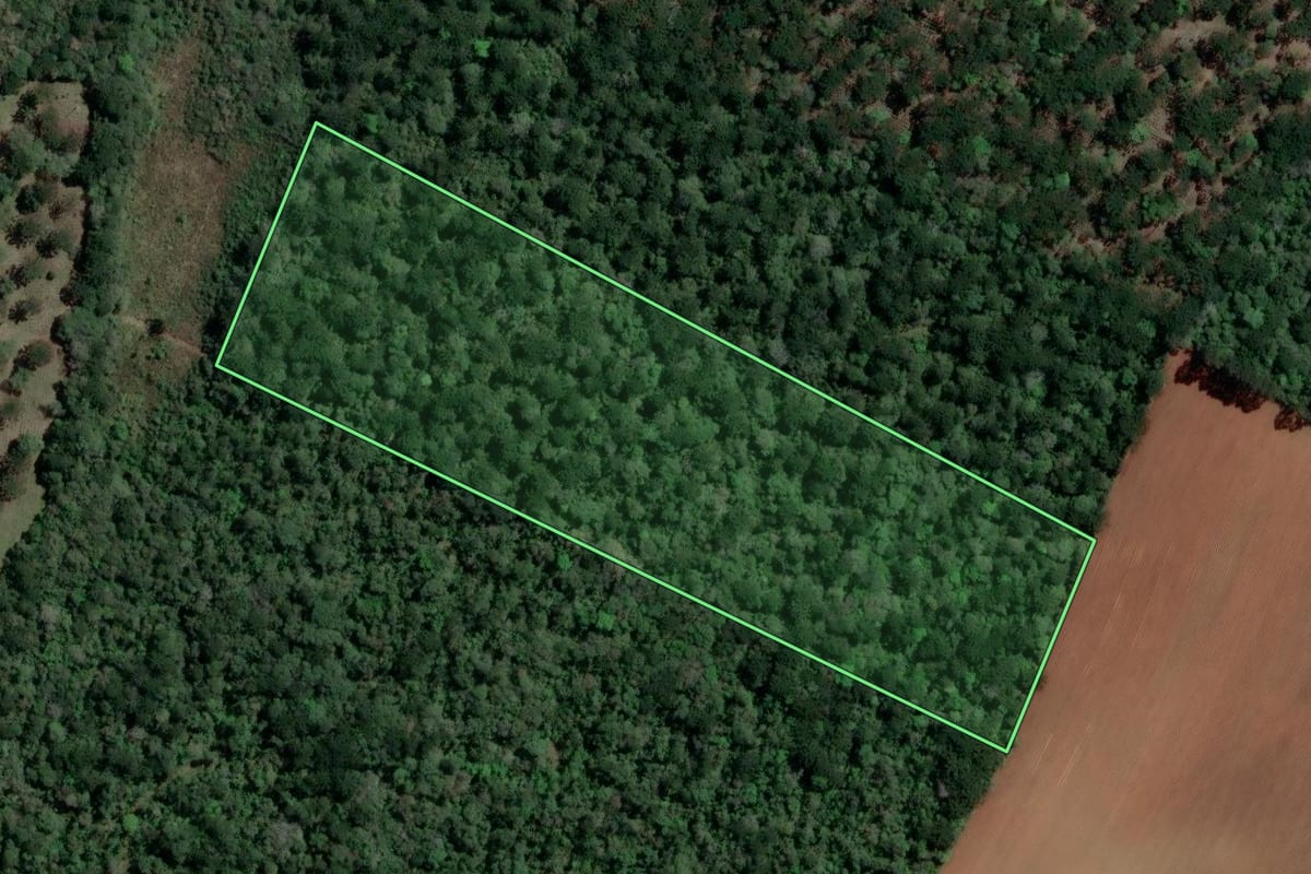 Imagem de satélite do imóvel rural em Imbituva (PR), com o contorno declarado no CAR desenhado por cima.