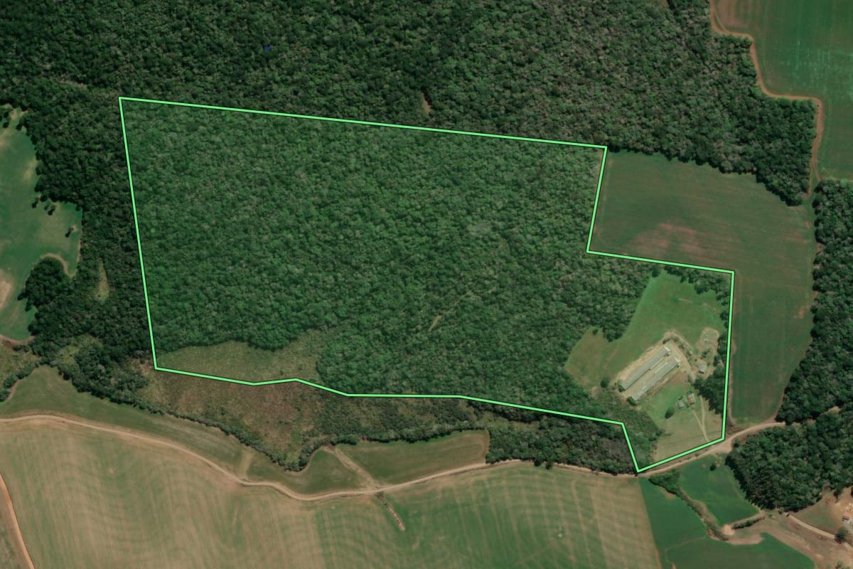 Imagem de satélite do imóvel rural em Imbituva (PR), com o contorno declarado no CAR desenhado por cima.