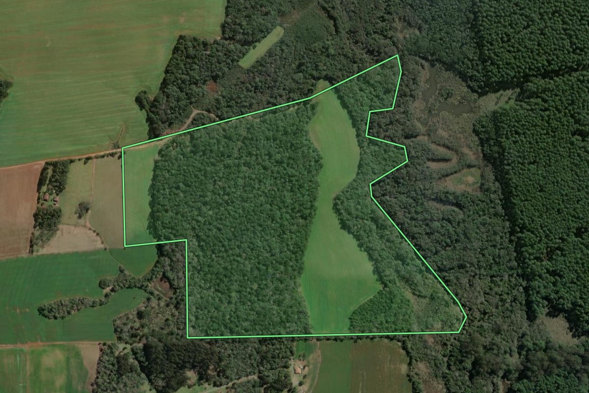 Imagem de satélite do imóvel rural em Imbituva (PR), com o contorno declarado no CAR desenhado por cima.