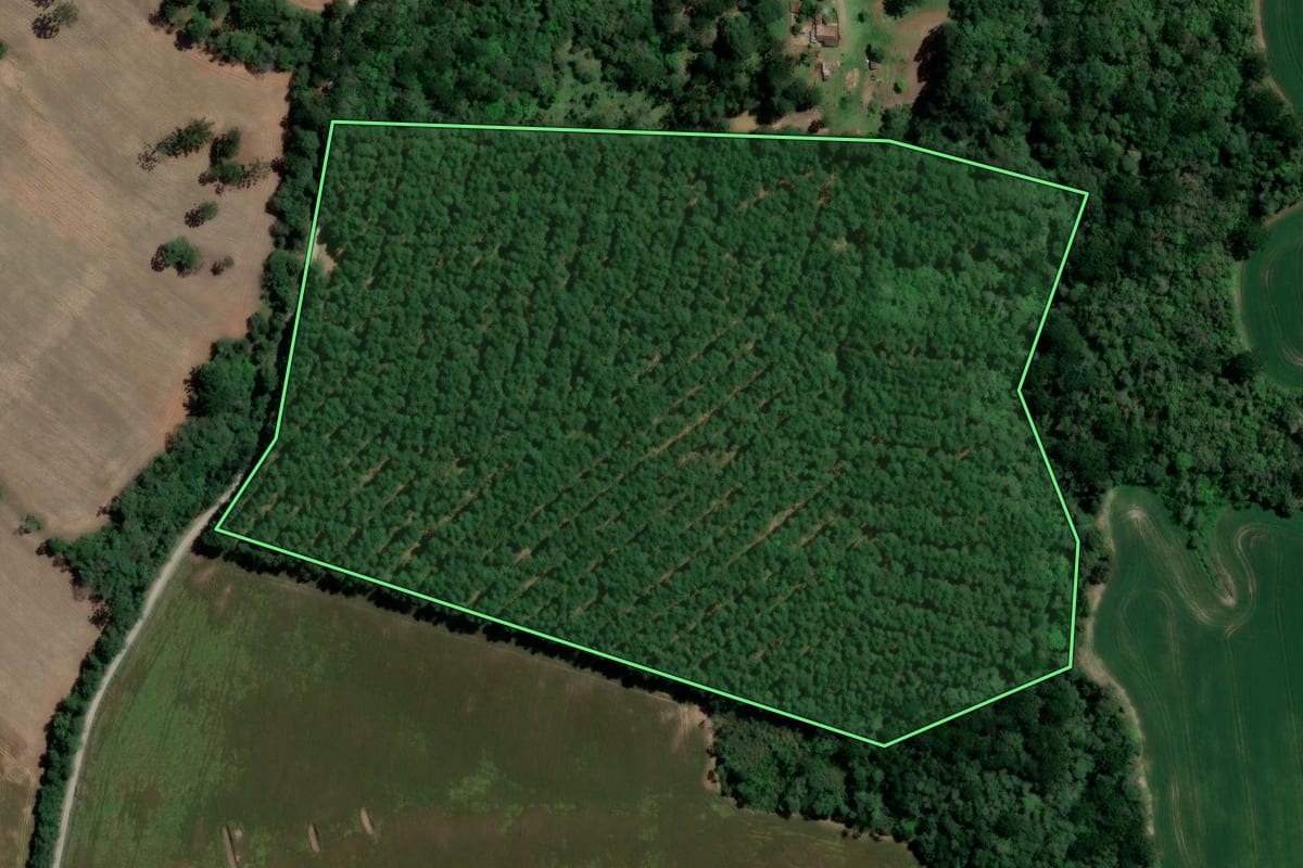 Imagem de satélite do imóvel rural em Imbituva (PR), com o contorno declarado no CAR desenhado por cima.