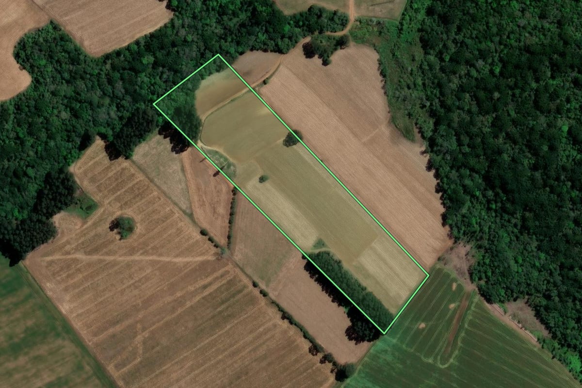 Imagem de satélite do imóvel rural em Imbituva (PR), com o contorno declarado no CAR desenhado por cima.