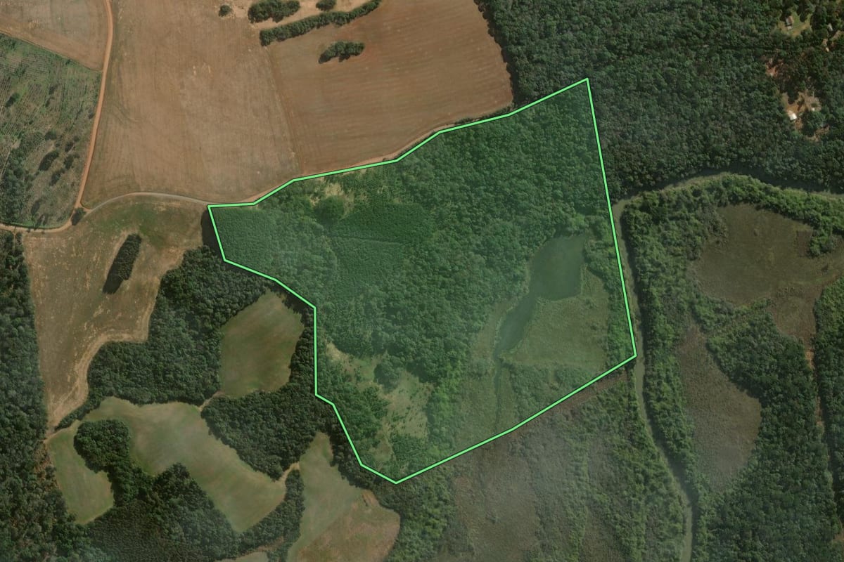 Imagem de satélite do imóvel rural em Imbituva (PR), com o contorno declarado no CAR desenhado por cima.