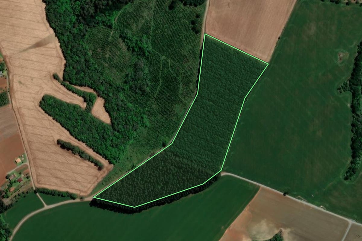 Imagem de satélite do imóvel rural em Imbituva (PR), com o contorno declarado no CAR desenhado por cima.