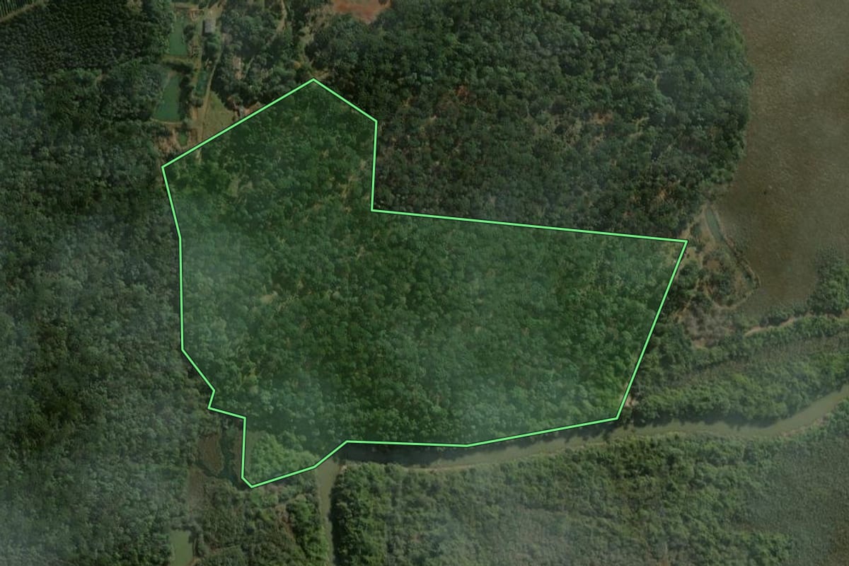 Imagem de satélite do imóvel rural em Imbituva (PR), com o contorno declarado no CAR desenhado por cima.
