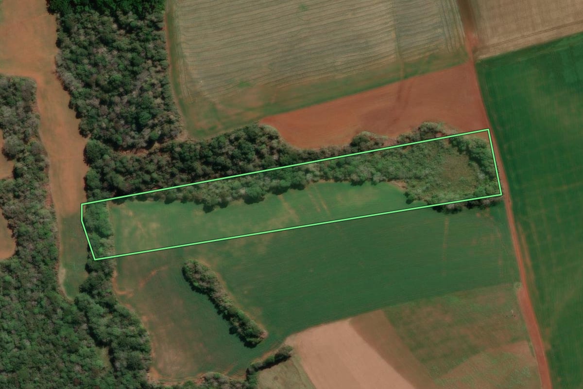 Imagem de satélite do imóvel rural em Imbituva (PR), com o contorno declarado no CAR desenhado por cima.