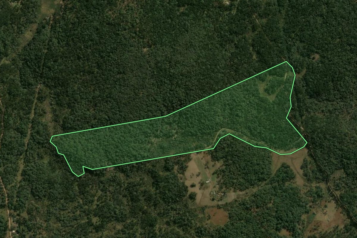 Imagem de satélite do imóvel rural em Inácio Martins (PR), com o contorno declarado no CAR desenhado por cima.