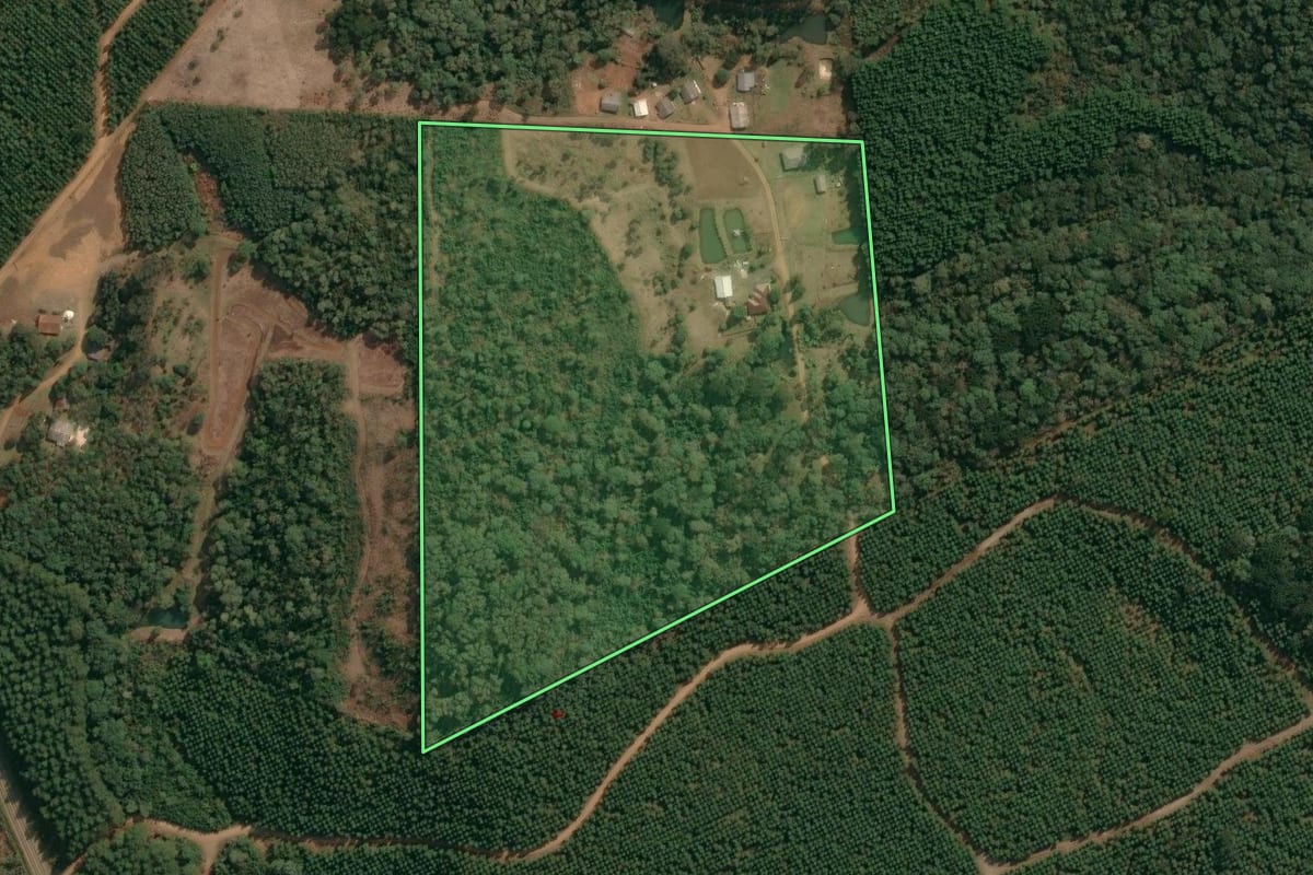 Imagem de satélite do imóvel rural em Inácio Martins (PR), com o contorno declarado no CAR desenhado por cima.