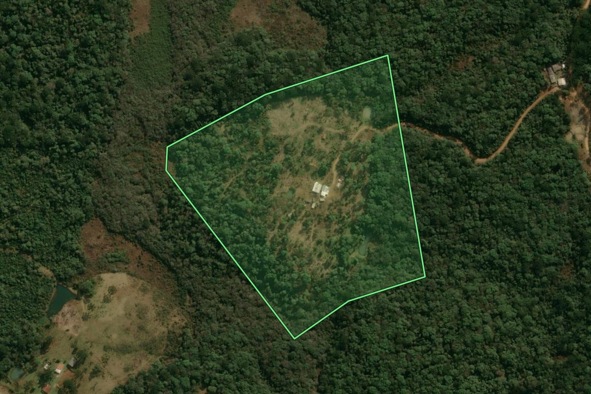 Imagem de satélite do imóvel rural em Inácio Martins (PR), com o contorno declarado no CAR desenhado por cima.