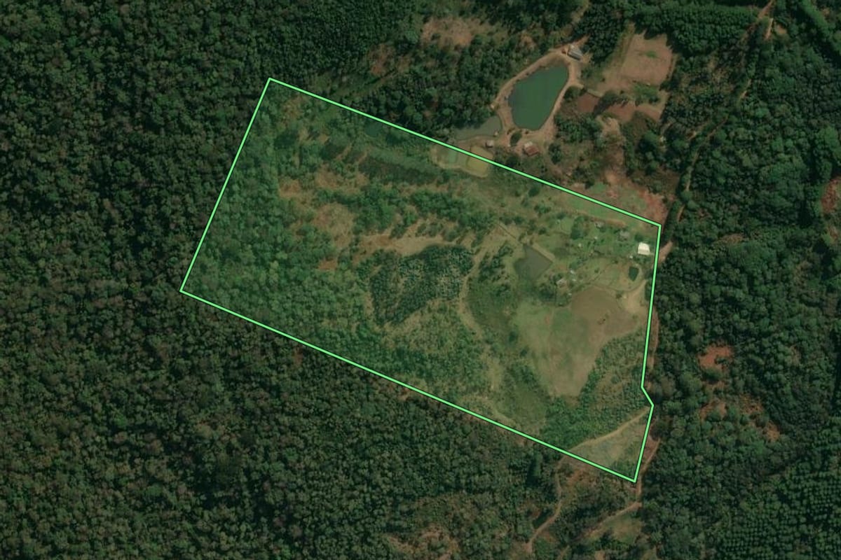 Imagem de satélite do imóvel rural em Inácio Martins (PR), com o contorno declarado no CAR desenhado por cima.