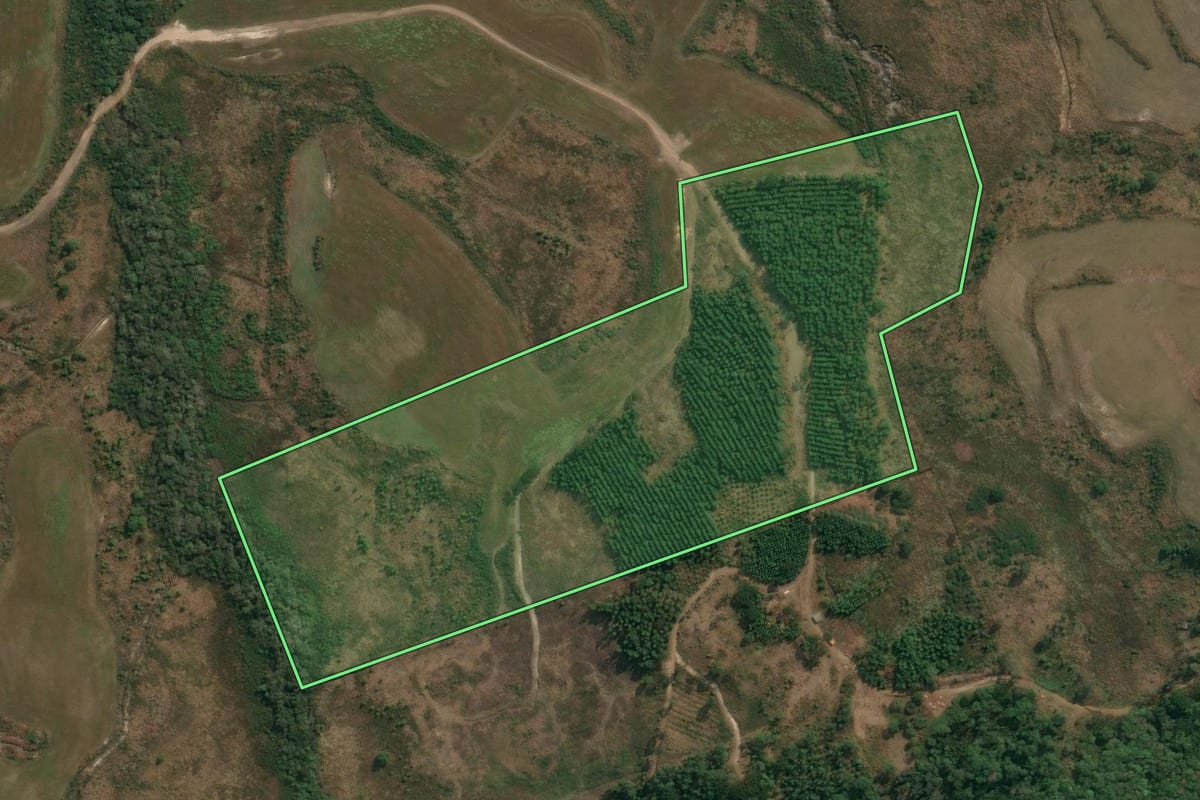 Imagem de satélite do imóvel rural em Inácio Martins (PR), com o contorno declarado no CAR desenhado por cima.