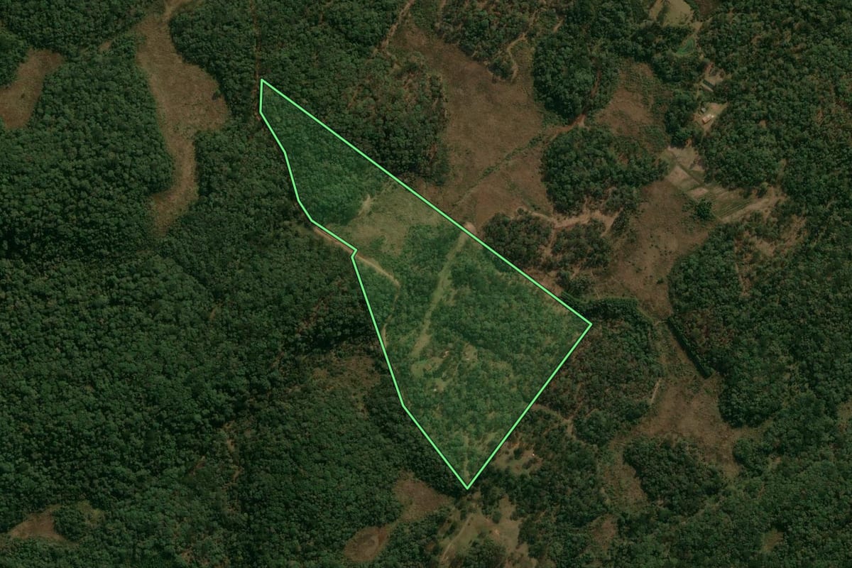 Imagem de satélite do imóvel rural em Inácio Martins (PR), com o contorno declarado no CAR desenhado por cima.