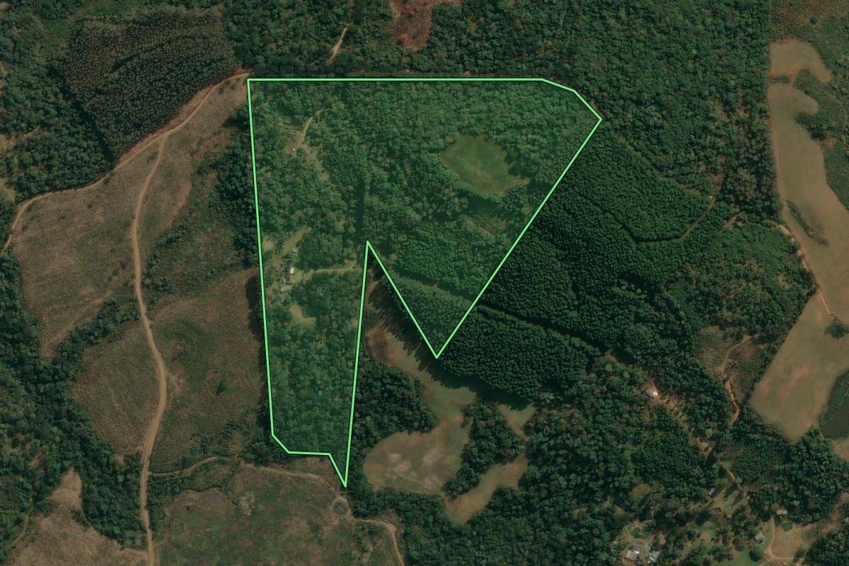 Imagem de satélite do imóvel rural em Inácio Martins (PR), com o contorno declarado no CAR desenhado por cima.