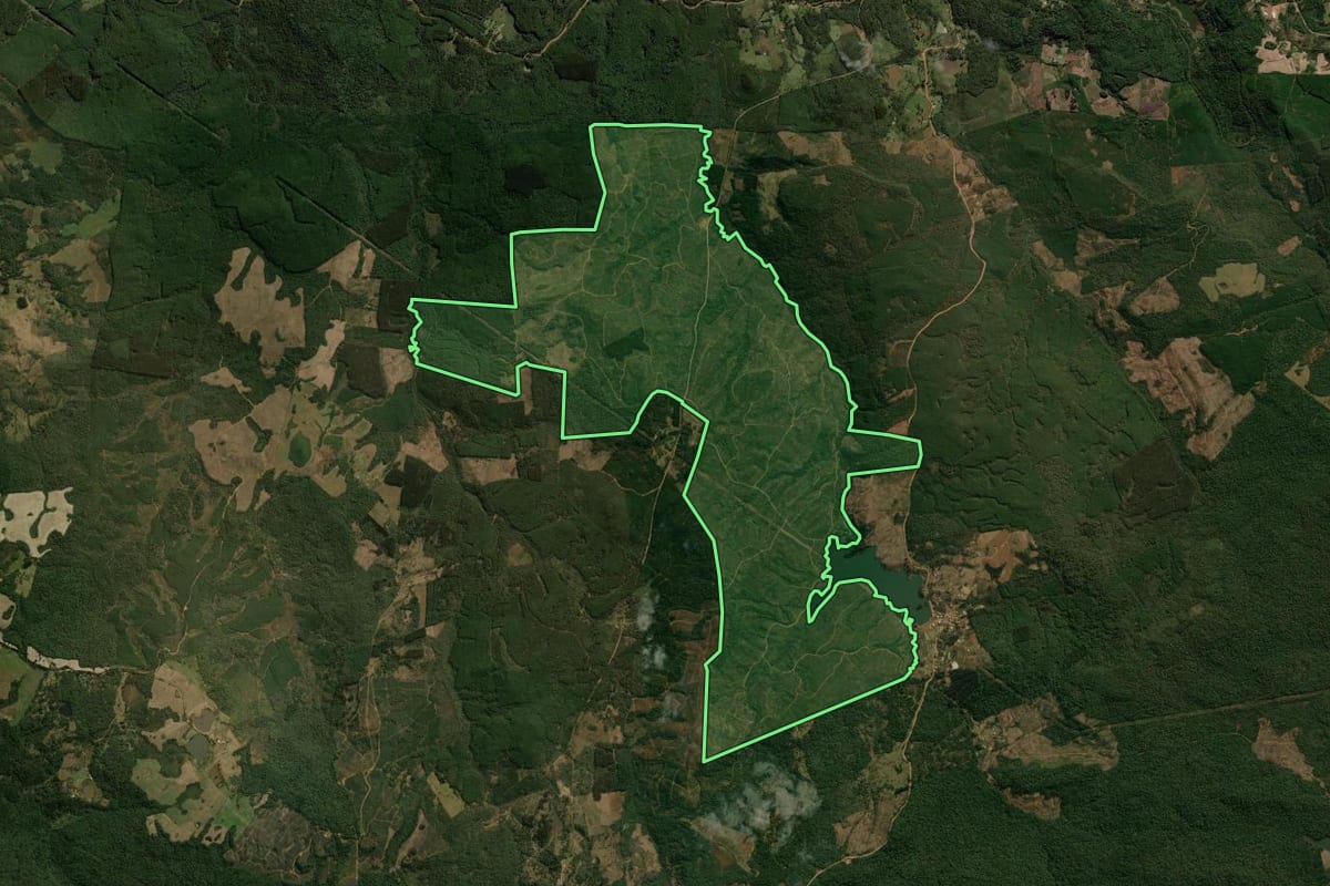 Imagem de satélite do imóvel rural em Inácio Martins (PR), com o contorno declarado no CAR desenhado por cima.