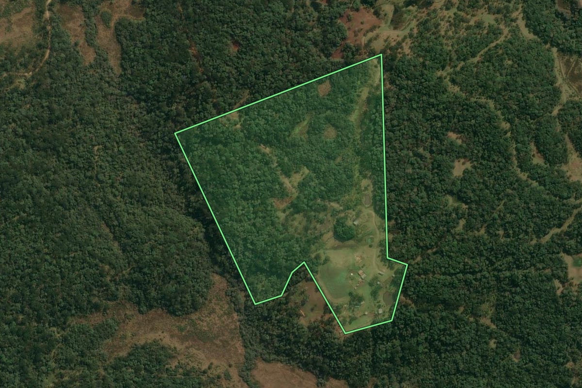 Imagem de satélite do imóvel rural em Inácio Martins (PR), com o contorno declarado no CAR desenhado por cima.