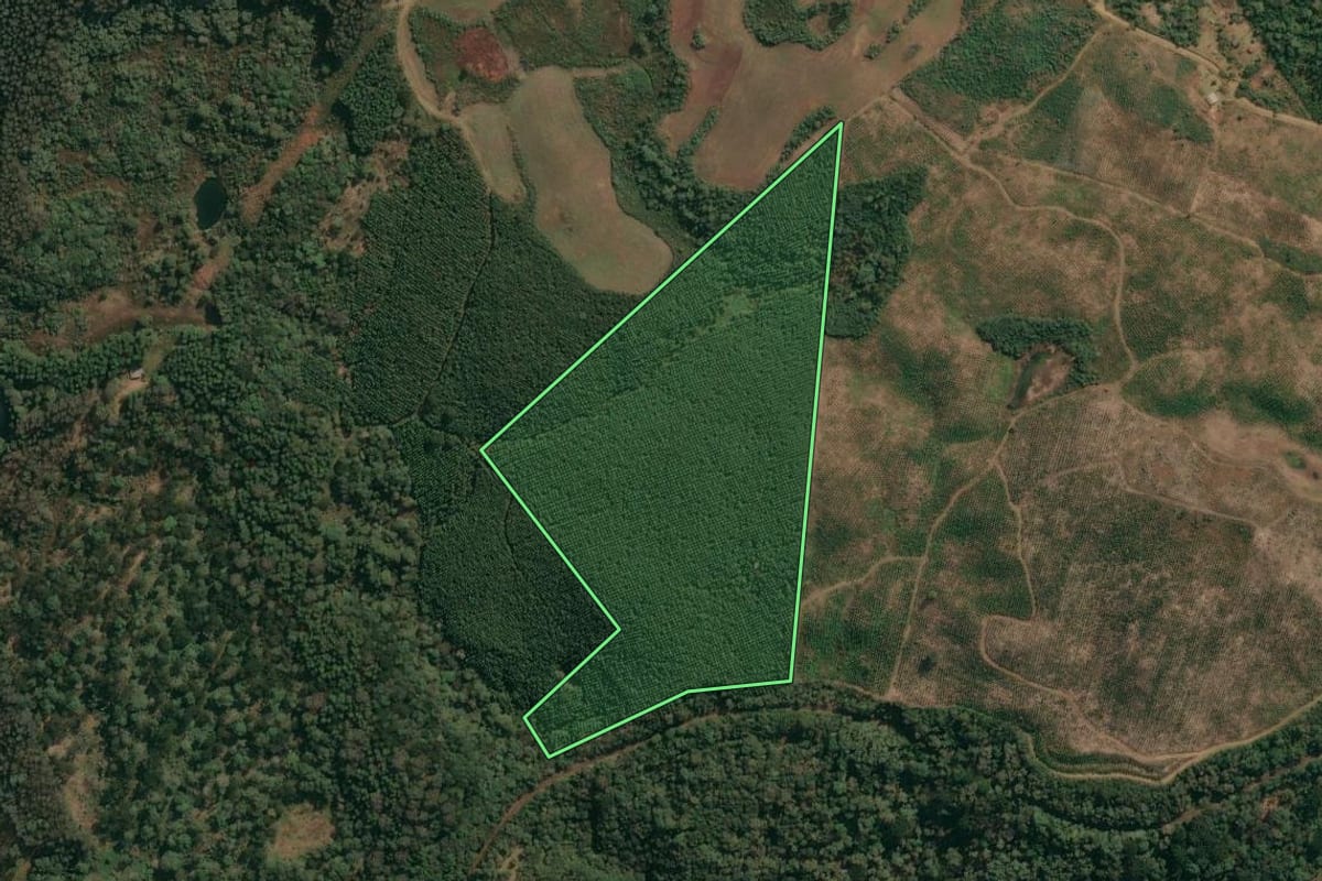 Imagem de satélite do imóvel rural em Inácio Martins (PR), com o contorno declarado no CAR desenhado por cima.